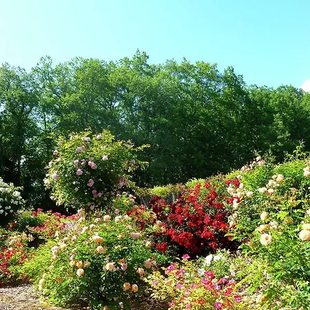 Le Coustal * Auriac-du-Périgord