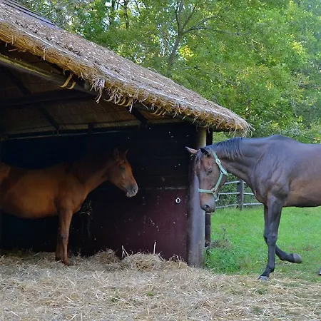 Le Coustal Σπίτι διακοπών Auriac-du-Périgord