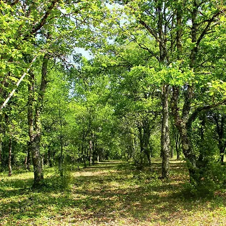 Le Coustal Σπίτι διακοπών Auriac-du-Périgord