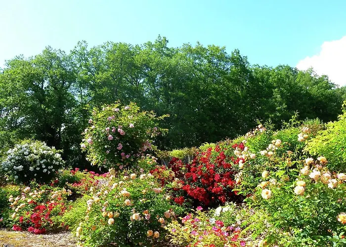 Le Coustal * Auriac-du-Périgord