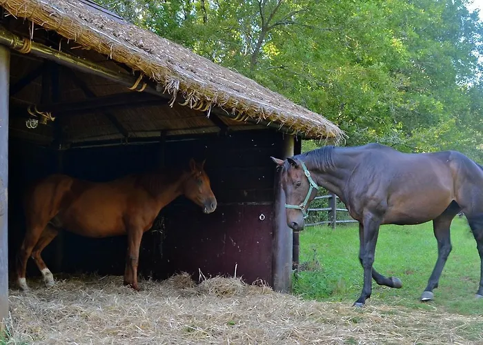 Le Coustal Hébergement de vacances Auriac-du-Périgord