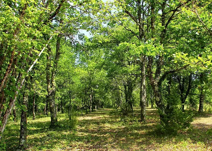 Le Coustal Hébergement de vacances Auriac-du-Périgord