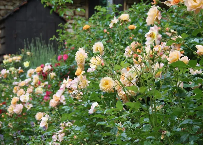 Le Coustal Hébergement de vacances Auriac-du-Périgord